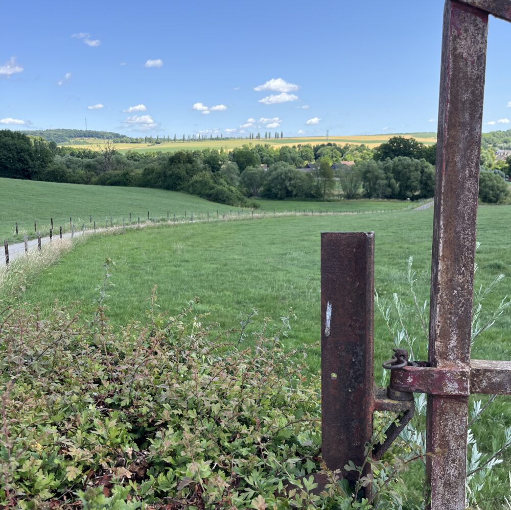 Dichtbij voelt soms ver weg - vakantie zit in de kleine dingen